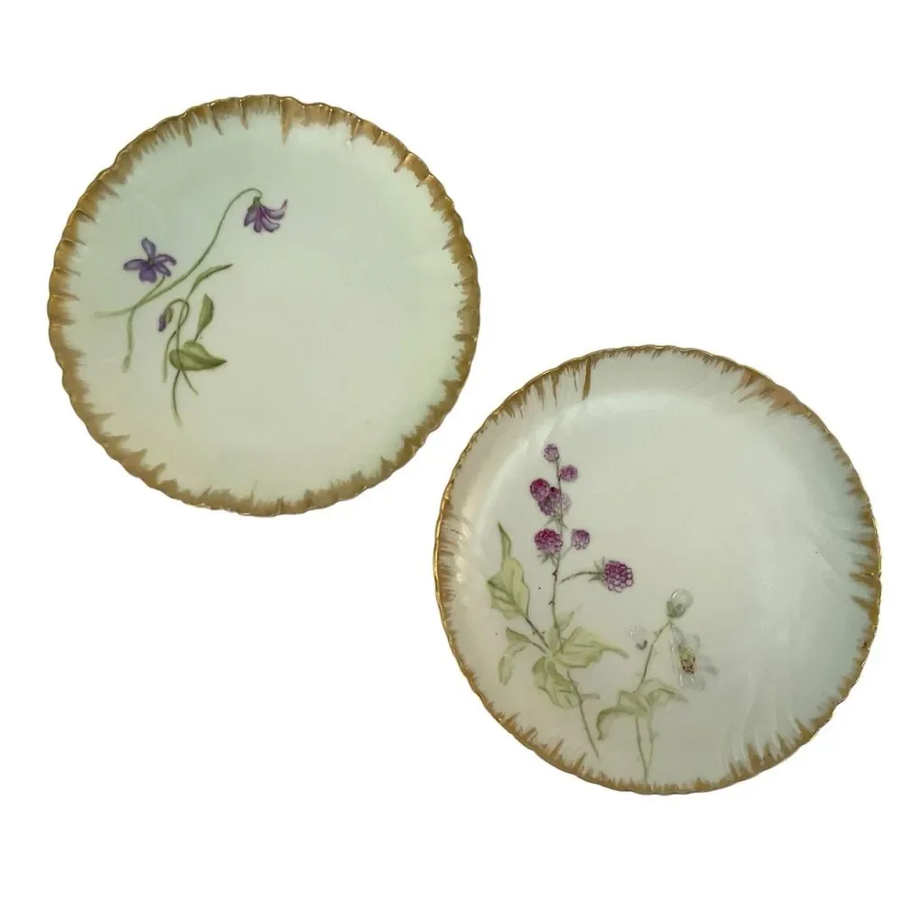 Haviland 1870-1890 Decorative Floral Plates France 7” Set of 2
